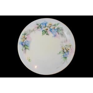 Antique Favorite Bavaria Collectible Hand-Painted Blue Floral German Decor Plate